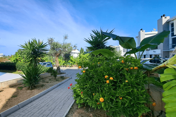 Garden walkway with lush flowers, porcelain tiles, and soft lighting, creating a charming, nature-rich path through the complex.