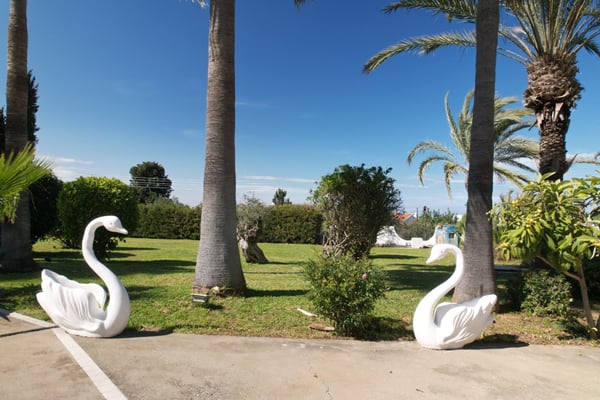 A breathtaking poolside retreat, framed by towering palm trees and a luxurious Mediterranean villa in North Cyprus.