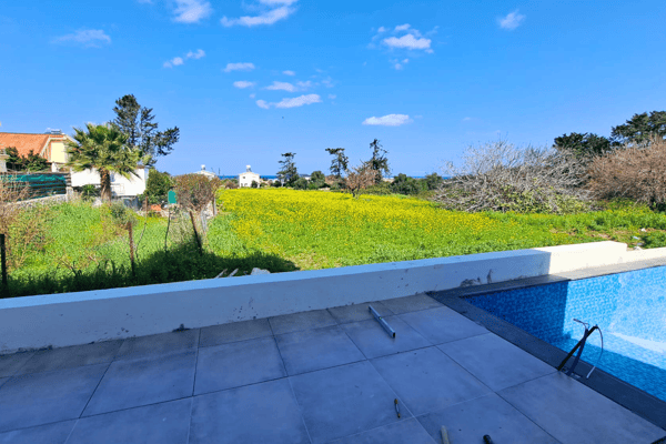 Backyard transition area from tiled patio to landscaped lawn.