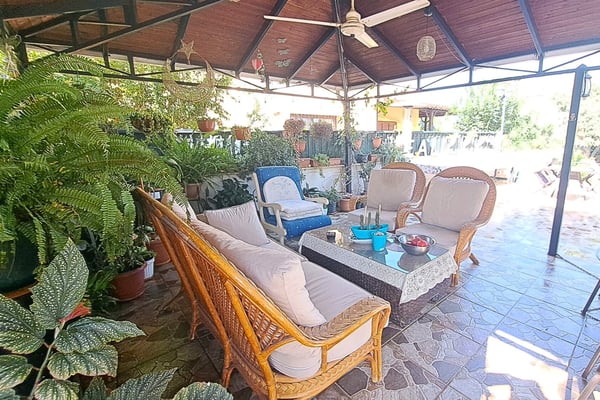 A charming garden nook with dense foliage and a rustic stone wall, creating a cozy escape.