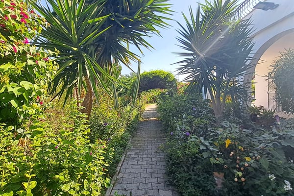 Gated entrance of a white home with a palm tree and shrubs, welcoming visitors to a peaceful retreat.