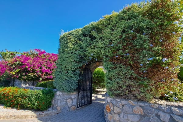 Romantic vine-covered stone archway leading to hidden gravel garden paths, creating a charming and intimate escape point.