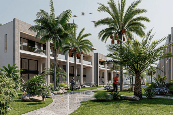 Entry pathway lined with tall palms and manicured garden beds, leading toward central living zones with elegance.