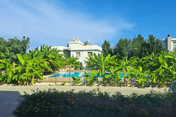 Densely planted garden hides a tranquil villa and pool zone, offering complete privacy and a true hidden tropical retreat.
