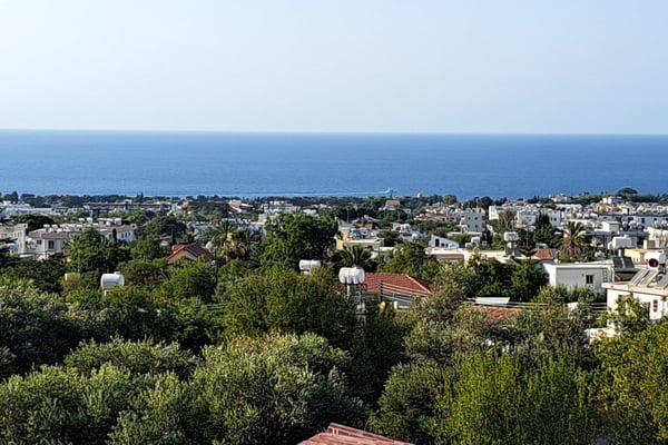 Balcony View of Lush Greenery – A scenic view from a wooden balcony overlooking a garden with dense trees.
