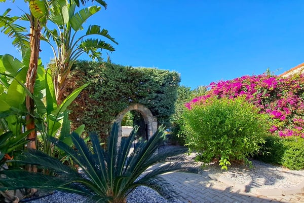 Succulent-focused xeriscape with yucca and agave in granite mulch, offering bold texture and low-maintenance landscape art.
