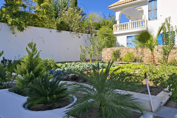 Side garden with lush green landscaping, palms, and shrubs.