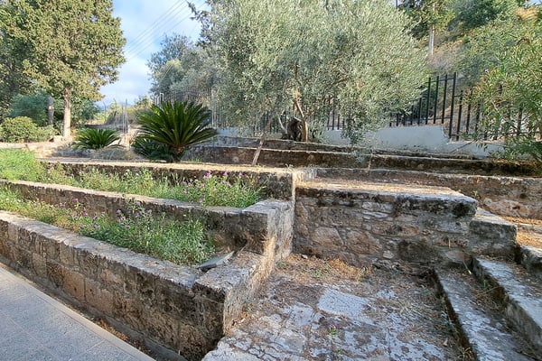 Ancient Stone Wall with Ivy Growth – A weathered stone wall covered in ivy and greenery.