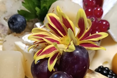 Catering-Dienstleister mit Erfahrung in Hochzeiten und Firmen-Events