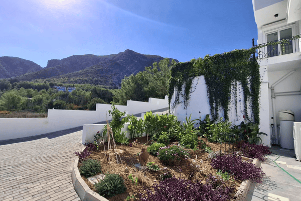 Garden landscaping with shrubs and a well-maintained hedge in front of the house.
