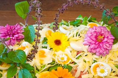 Feedback von zufriedenen Gästen zu Qualität und Frische