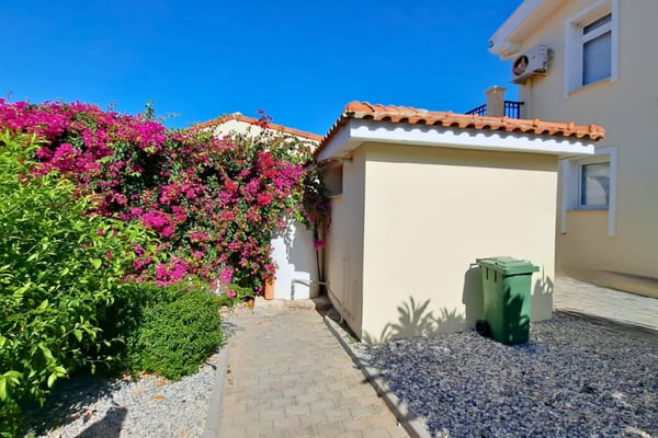 Bougainvillea climbs villa’s side facade, adding vibrant contrast to white walls and efficient, louvered shutters on each window.