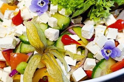 Nachhaltiges Catering-Konzept mit saisonalen Produkten