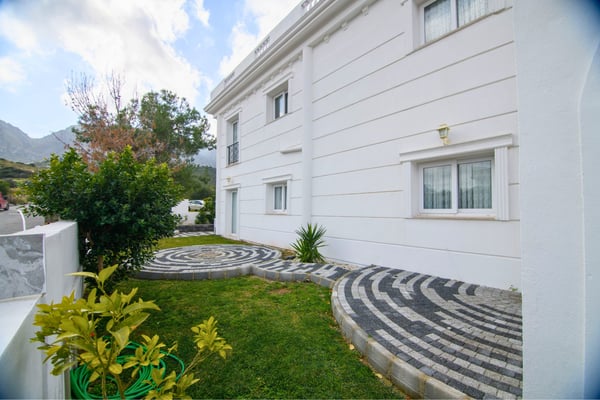 Charming stone garden path weaving through vibrant greenery and offering a peaceful landscape experience.