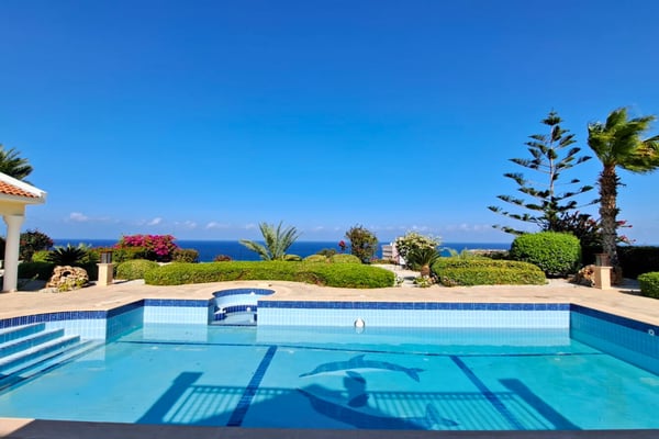 Terrace perspective with infinity edge blending into the sea horizon, enhanced by lawn and a solitary palm for scenic drama.