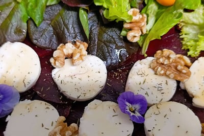 Nachhaltige Entsorgung und umweltbewusster Service