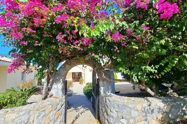 Stone gateway framed by bougainvillea and wrought-iron door, adding Mediterranean charm and vibrant color to the garden path.