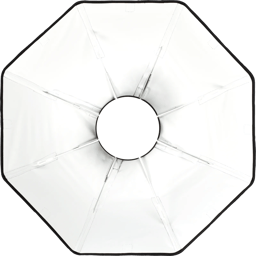 Beauty Dish (White / Silver)