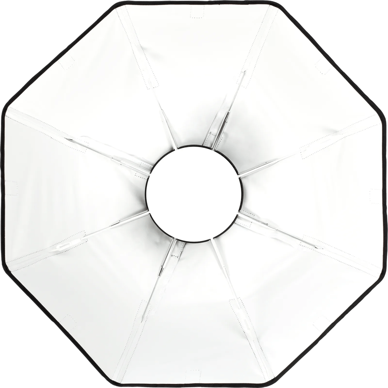 Beauty Dish (White / Silver)