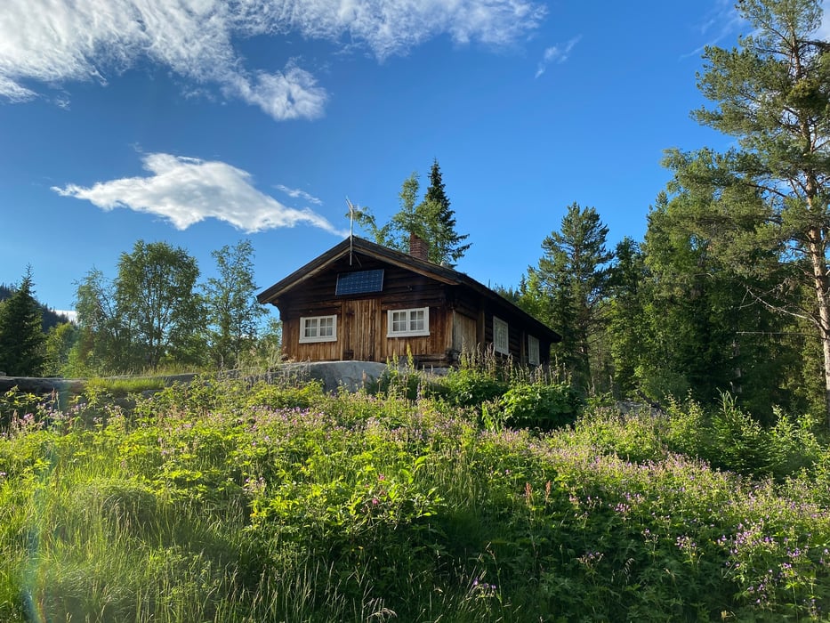 Masha Efrosinina bilan jinsiy aloqa