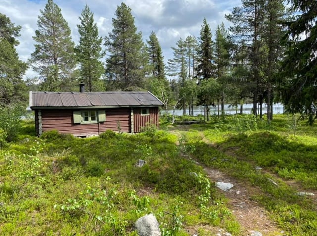 Skogskoie ved Negårdskroktjern