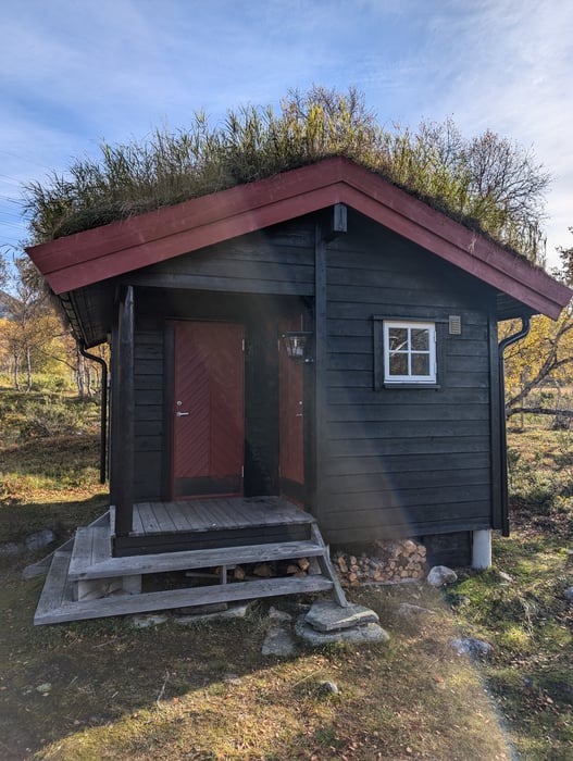 Etikdagi mushuk porno video