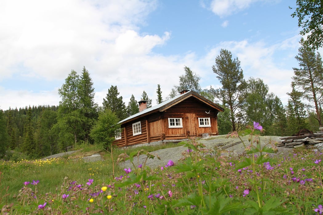 Va Revva va t Batrutdinov SSSRda jinsiy aloqa