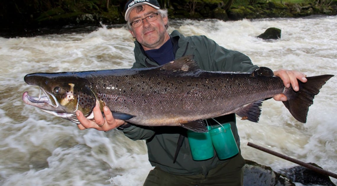 Xonanda Maksimning yalangoch mushuki