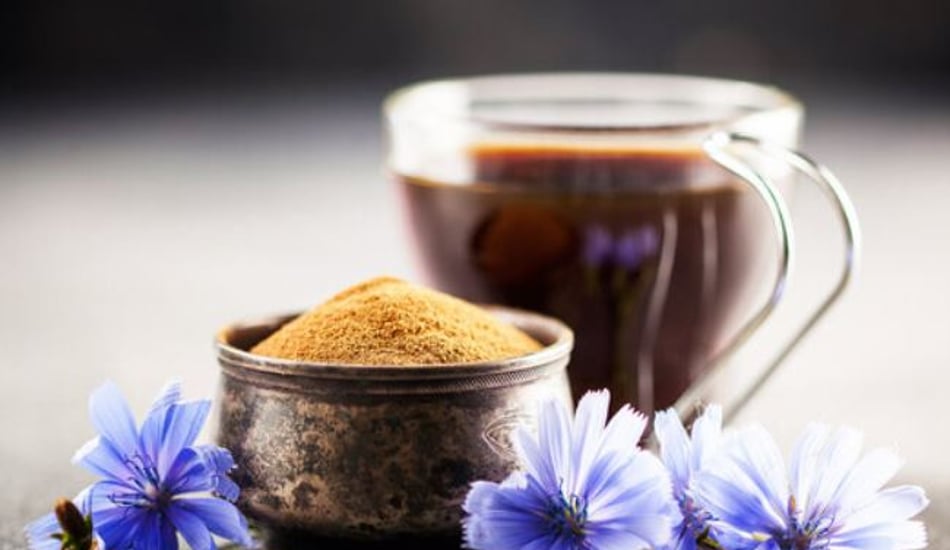 Chicorée-Kaffee