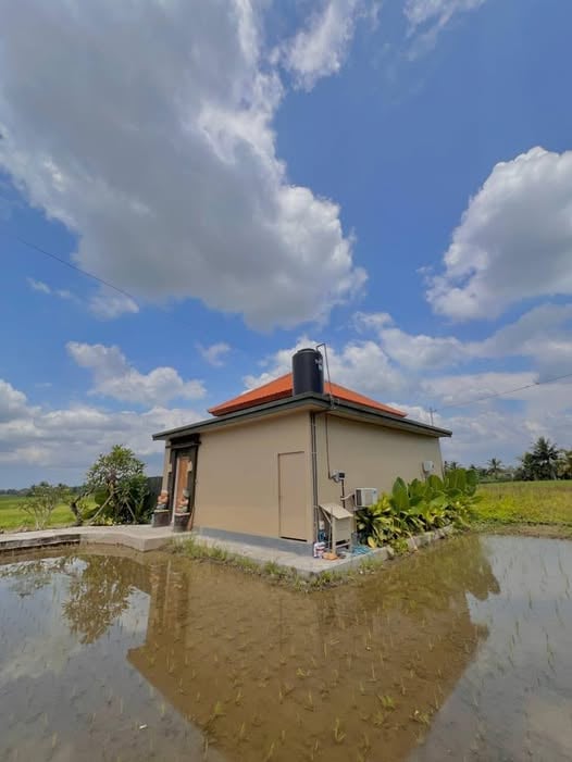 1BR Villa – Sayan – Rice Field View