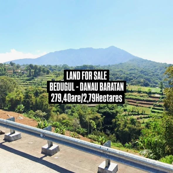 Land for Sale – Bedugul – Large Plot