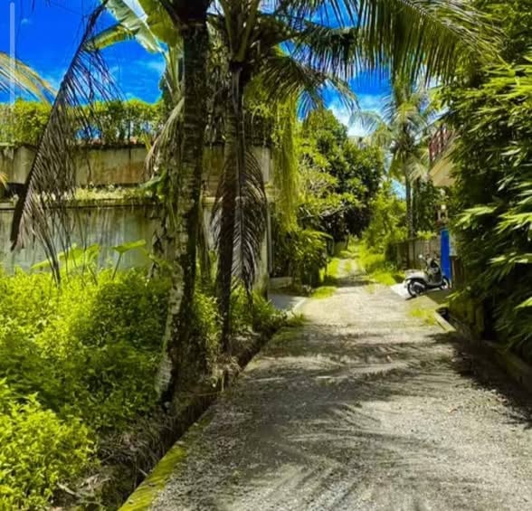 Land for Sale – Pejeng – Forest View