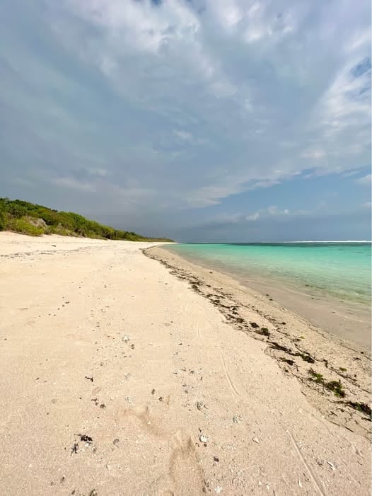 Beachfront Land Plot – Kodi – Prime Investment Opportunity