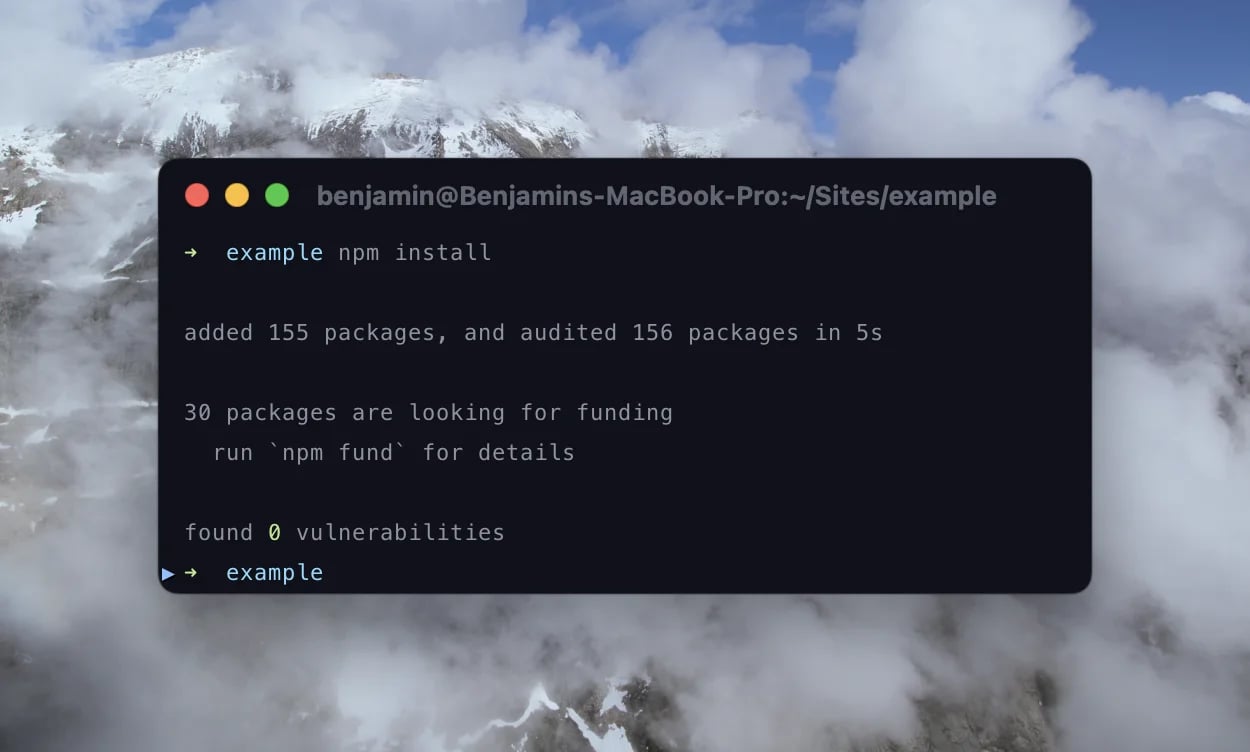 npm ci vs. npm install or reliability vs. speed