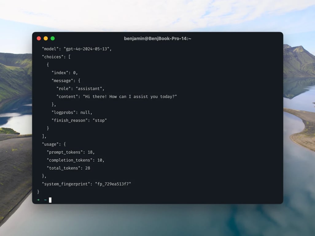 How to access and use GPT-4o's API, step by step