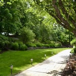Westwood backyard oasis