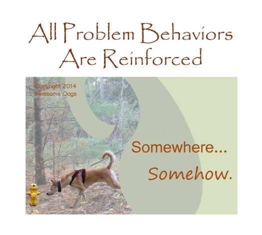 Poster shows a dog stretching out, pulling a leash taut, in order to sniff a fire hydrant. Text says, "All problem behaviors are reinforced. Somewhere...somehow.