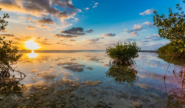 Your Guide to Relaxing and Unwinding in the Florida Keys
