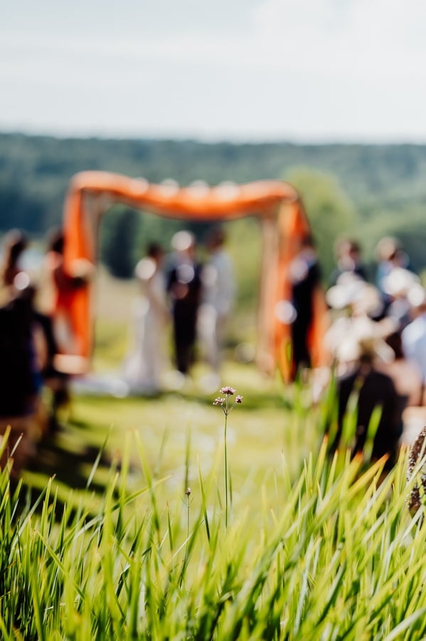 Flower in focus with clarks cove farm wedding in background