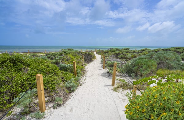 Exploring Paradise: Bahia Honda State Park