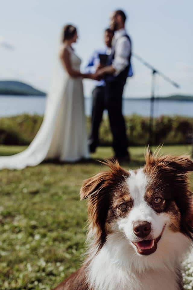 Bangor Maine wedding photography
