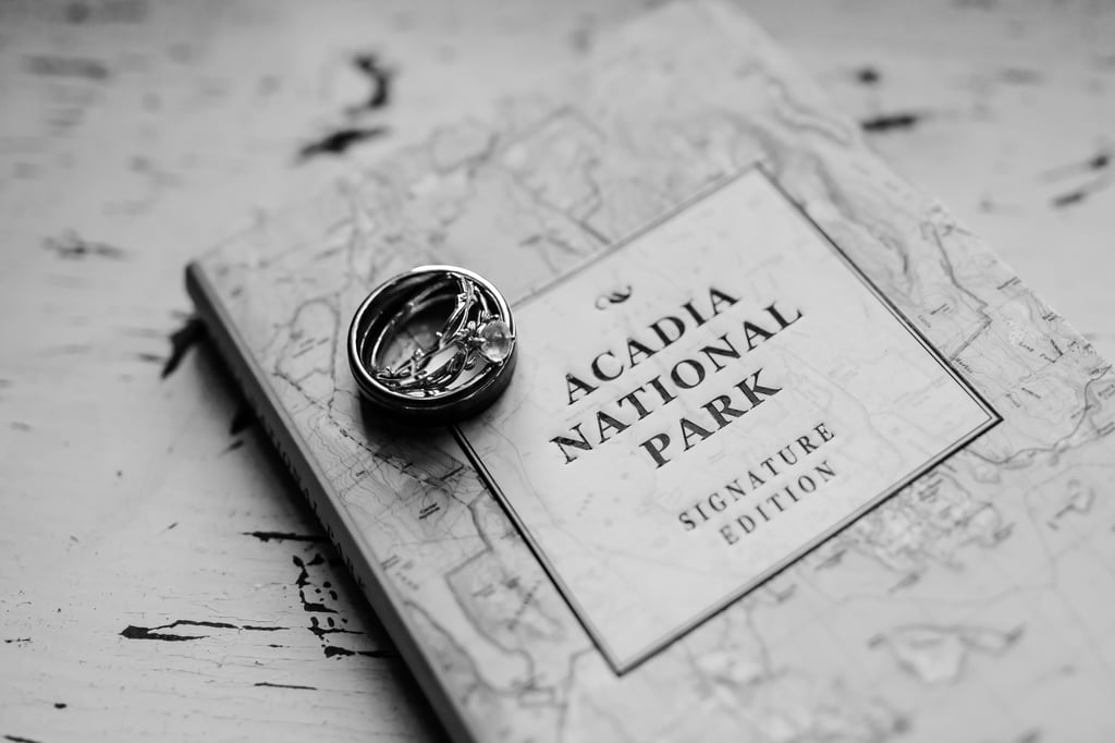 Eloping in Acadia National Park