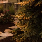 Medway Backyard Retreat