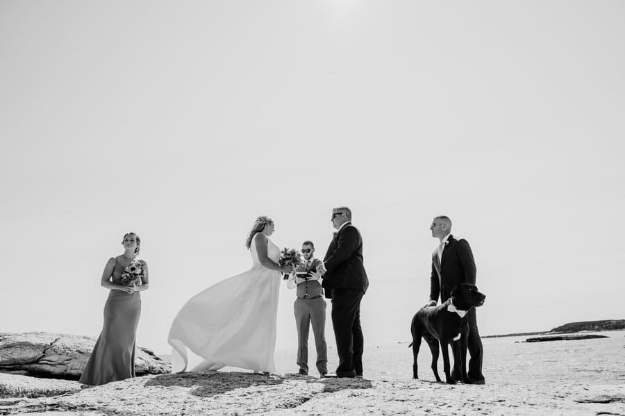 Maine wedding photography Boothbay harbor mine oyster