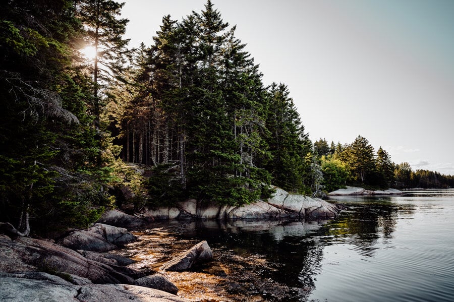 Maine Wedding Photography32.jpg