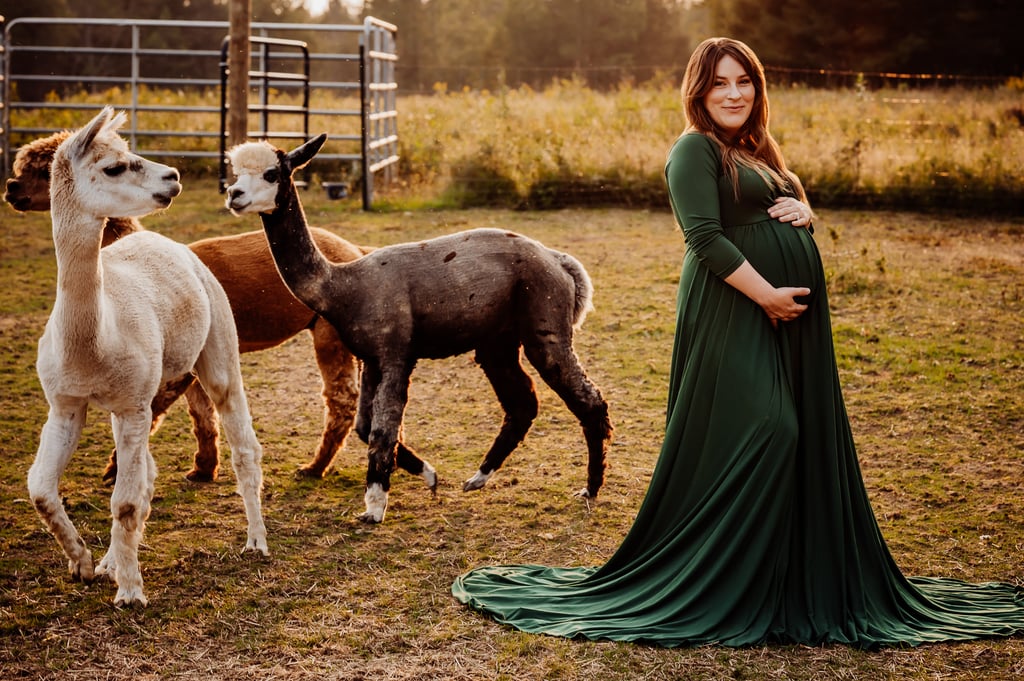 Maine maternity photoshoot with alpaca