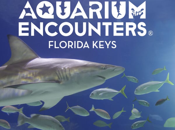 FL Keys Aquarium Encounters