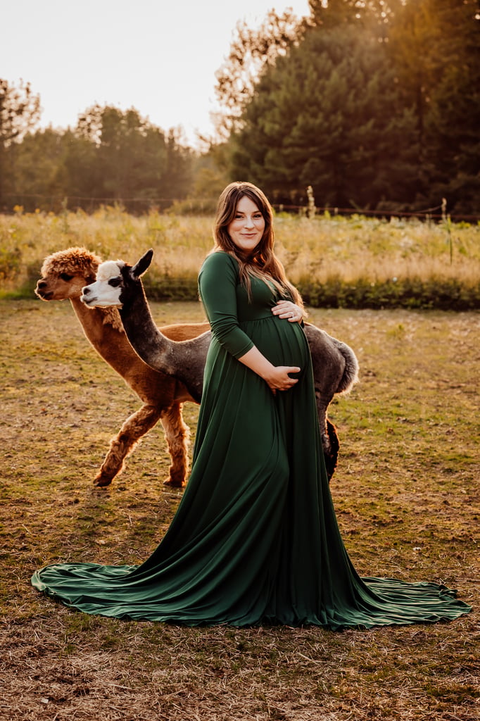 Maine maternity photoshoot with alpaca