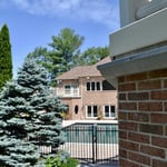 Westwood backyard oasis
