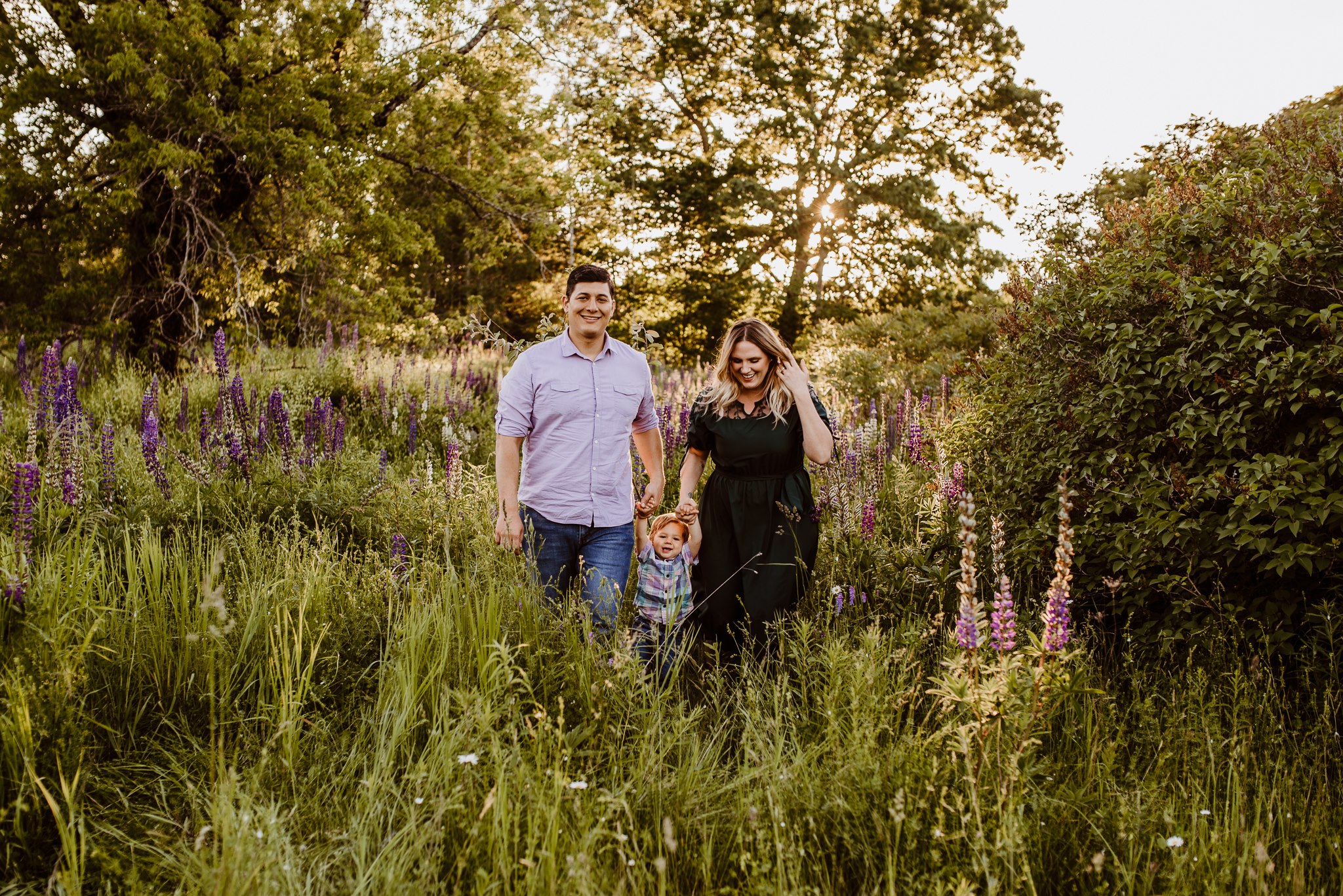 Lupine Photography Maine Family Sunset Dress Purple Boy Sun Flare